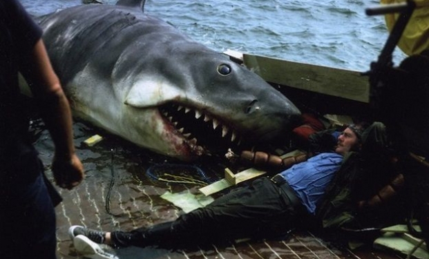 Lo squalo di Steven Spielberg Lo squalo di Steven Spielberg