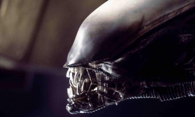 Alien Alien