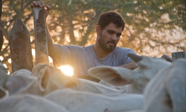 Neon Bull Neon Bull