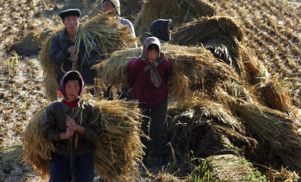 La Cina rurale fonte di ispirazione per artisti La Cina rurale fonte di ispirazione per artisti