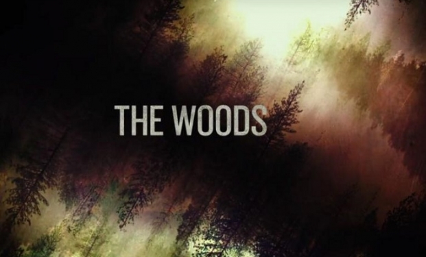 The Woods The Woods