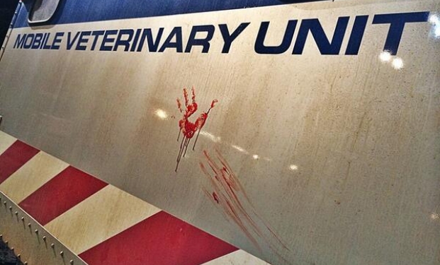 Set di Jurassic World Set di Jurassic World