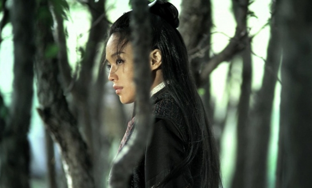 The Assassin The Assassin
