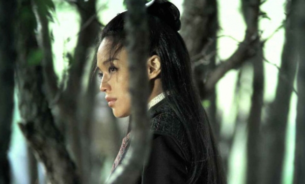 The Assassin The Assassin