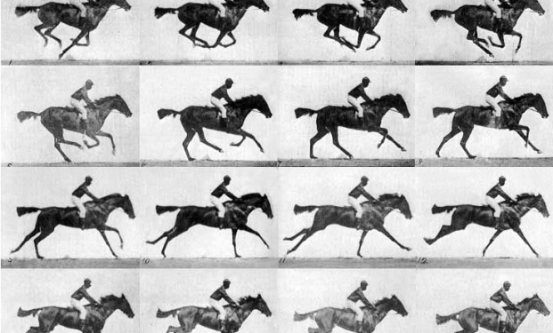 The horse in motion di Muybridge The horse in motion di Muybridge