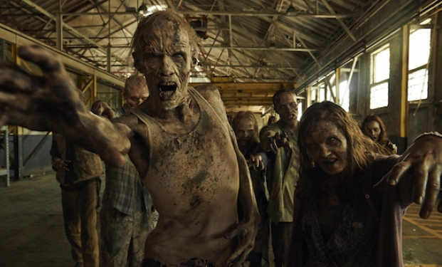The Walking Dead The Walking Dead