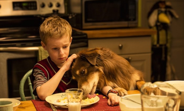 Kyle Catlett in una scena di "Lo straordinario viaggio di T.S. Spivet"