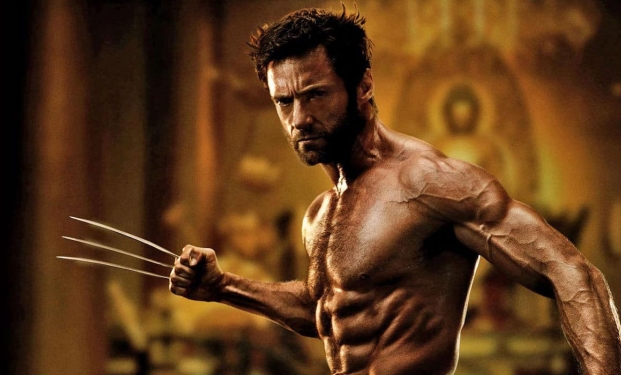 Wolverine Wolverine